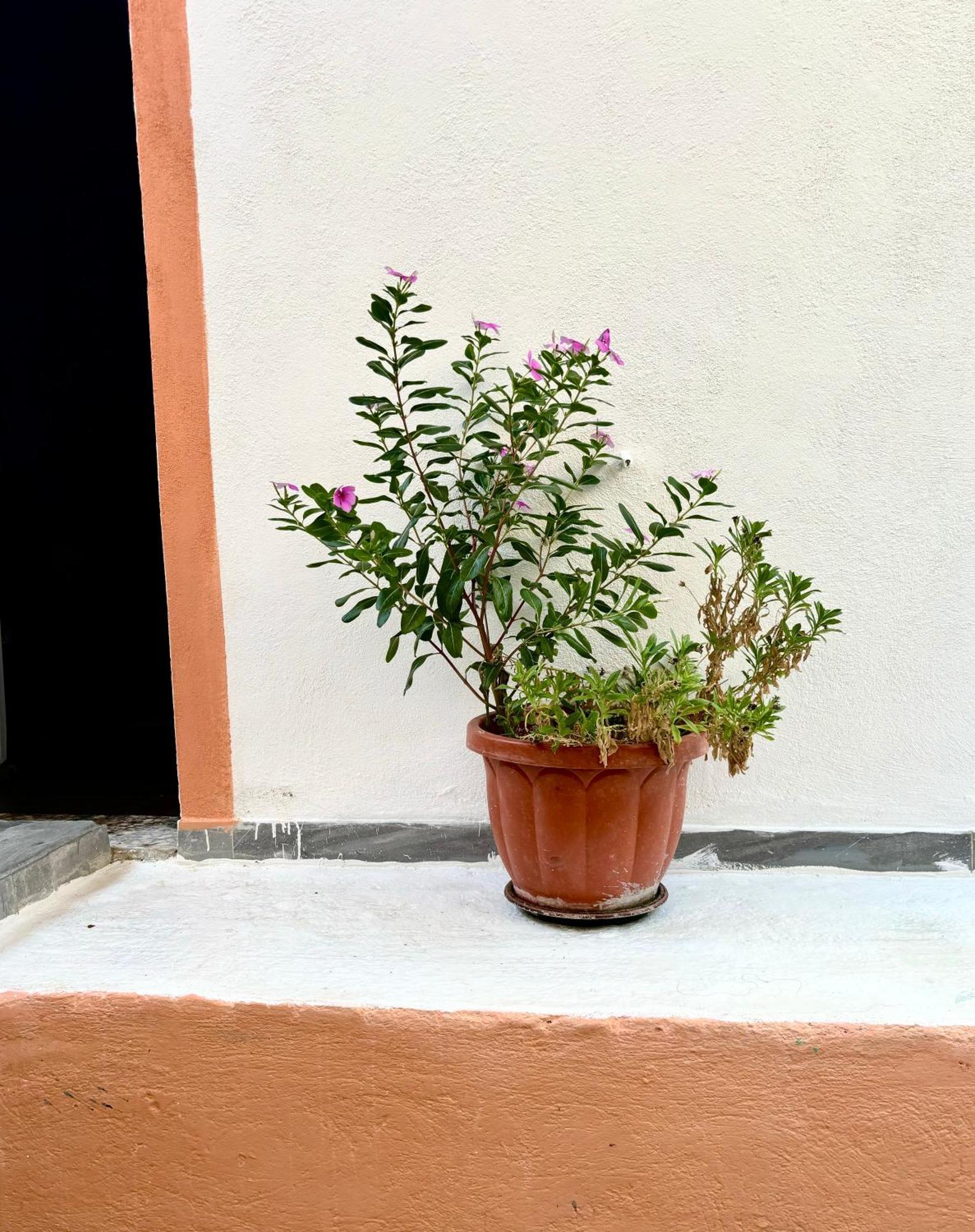 Perivólion Traditional Corfiot House מראה חיצוני תמונה