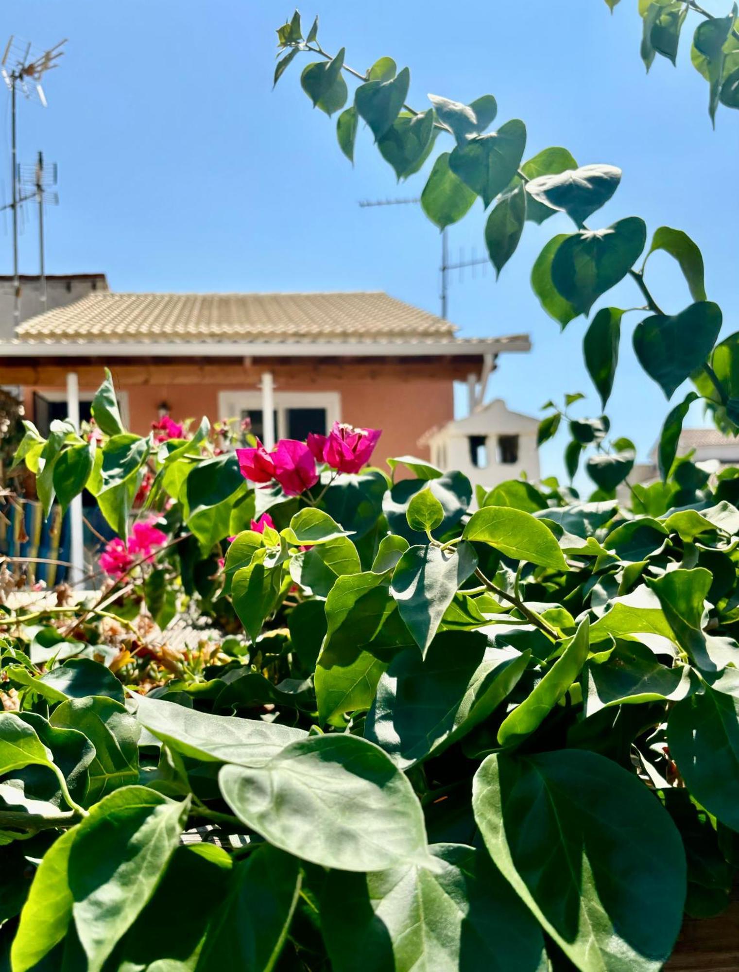 Perivólion Traditional Corfiot House מראה חיצוני תמונה